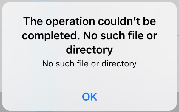 No such file or directory