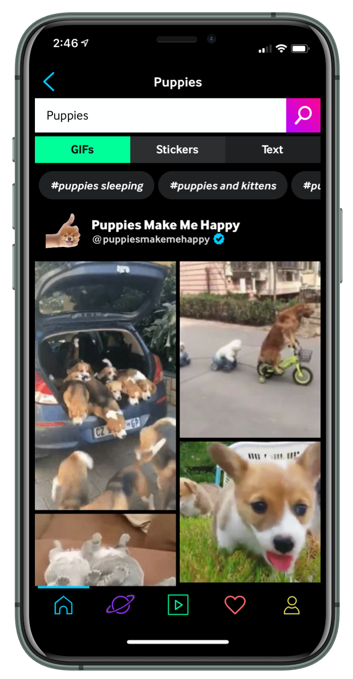 Image of GIPHY search interface
